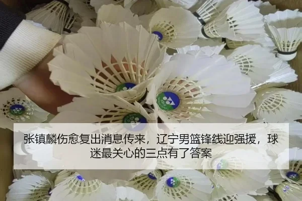 张镇麟伤愈复出消息传来，辽宁男篮锋线迎强援，球迷最关心的三点有了答案（youbotiyu）