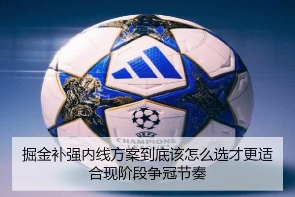 掘金补强内线方案到底该怎么选才更适合现阶段争冠节奏（youbotiyu）